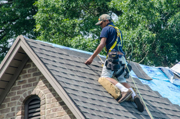 Quick and Trustworthy Emergency Roof Repair Services in Hobart, WA